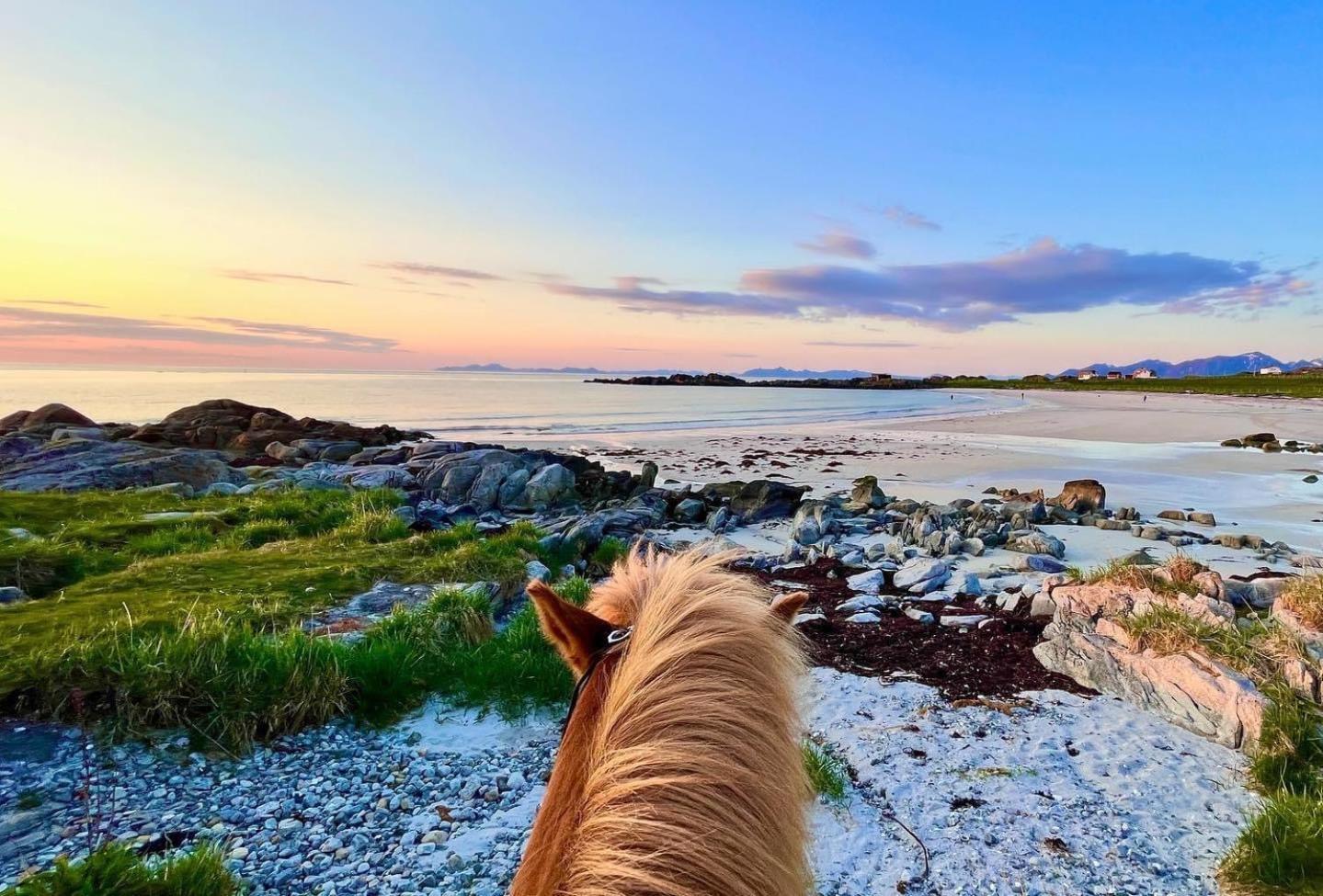 Lofoten Links Gimsoy